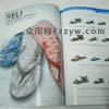 外貿(mào)出口企業(yè)精品畫冊印刷